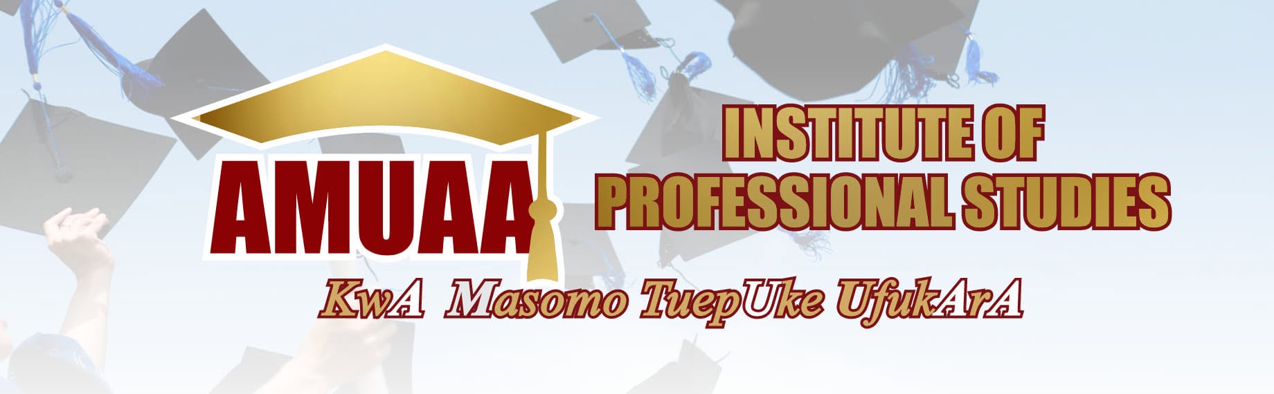 AMUAA learning and training